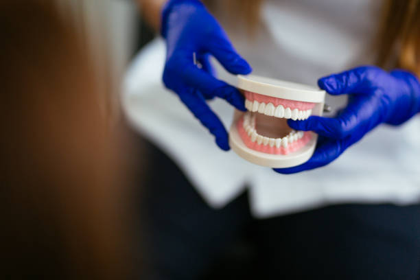 Best Dental Exams and Cleanings  in Falmouth Foreside, ME